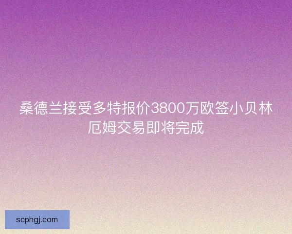 桑德兰接受多特报价3800万欧签小贝林厄姆交易即将完成
